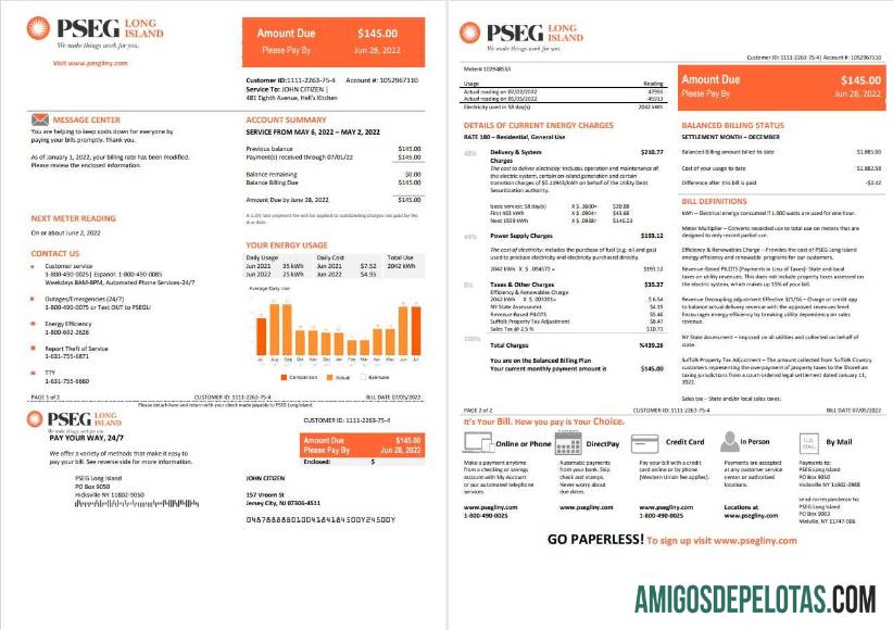 Para baixar modelo de conta de serviços públicos de eletricidade PSEG dos EUA Nova Jersey em formato Word e PDF, 2 páginas